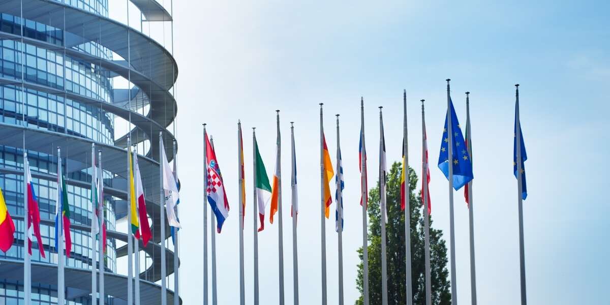 Photo of the row of national flags outside the European Parliament building. Representing a Transalis blog post titled: EU VAT Reporting and eInvoicing Compliance: What You Need to Know