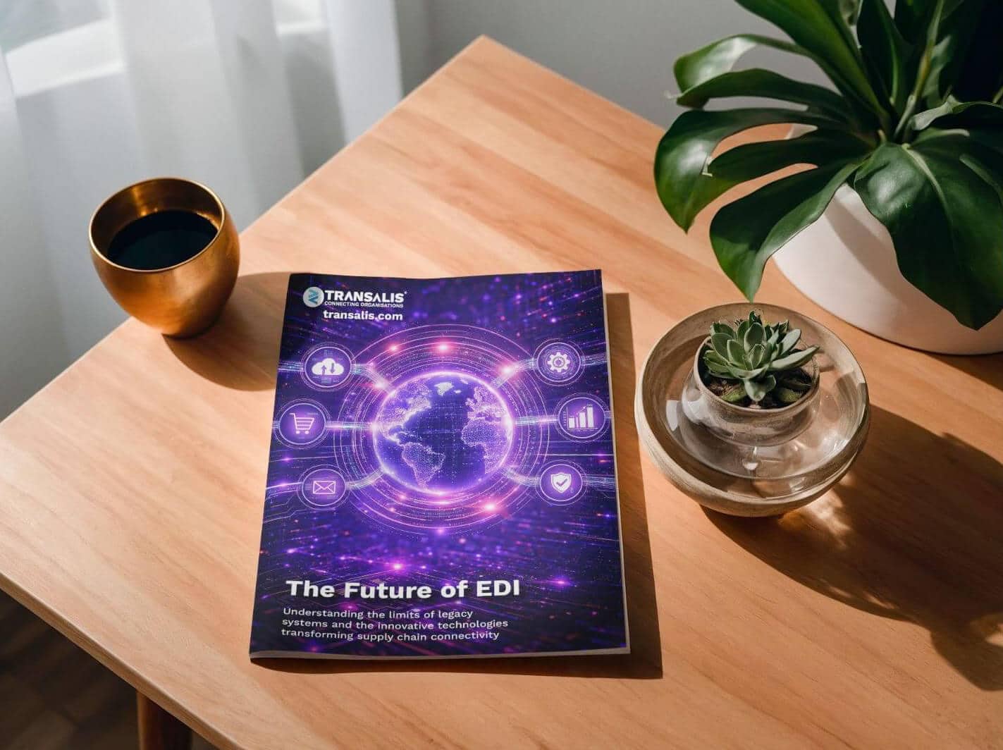 The Future of EDI - Transalis